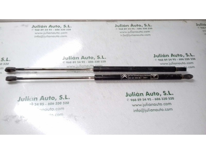 Recambio de amortiguadores maletero / porton para citroen ax 14 trs referencia OEM IAM 9563195680  300N