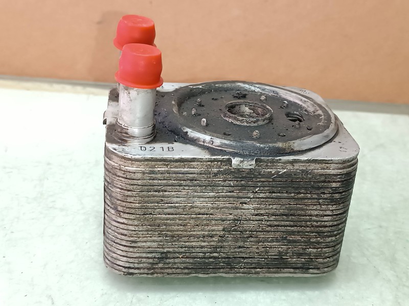 Recambio de enfriador aceite motor para volkswagen golf iv berlina (1j1) básico referencia OEM IAM 038117021B  