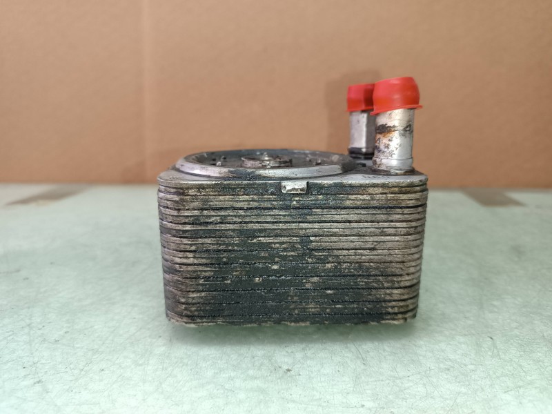 Recambio de enfriador aceite motor para volkswagen golf iv berlina (1j1) básico referencia OEM IAM 038117021B  