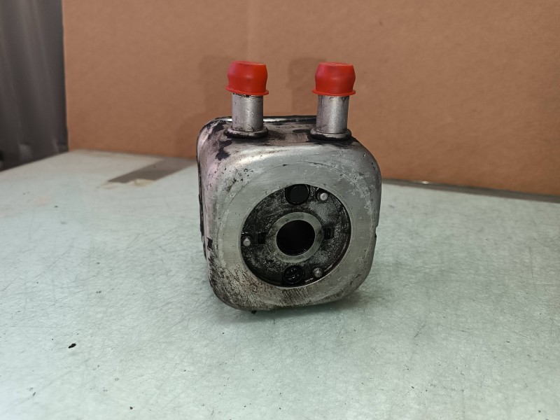 Recambio de enfriador aceite motor para volkswagen passat berlina (3b2) trendline referencia OEM IAM 028117021C  