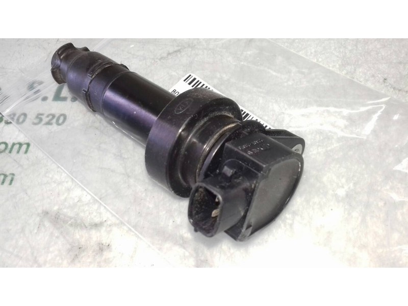 Recambio de bobina encendido para hyundai i30 classic referencia OEM IAM 273012B010  2 PINES