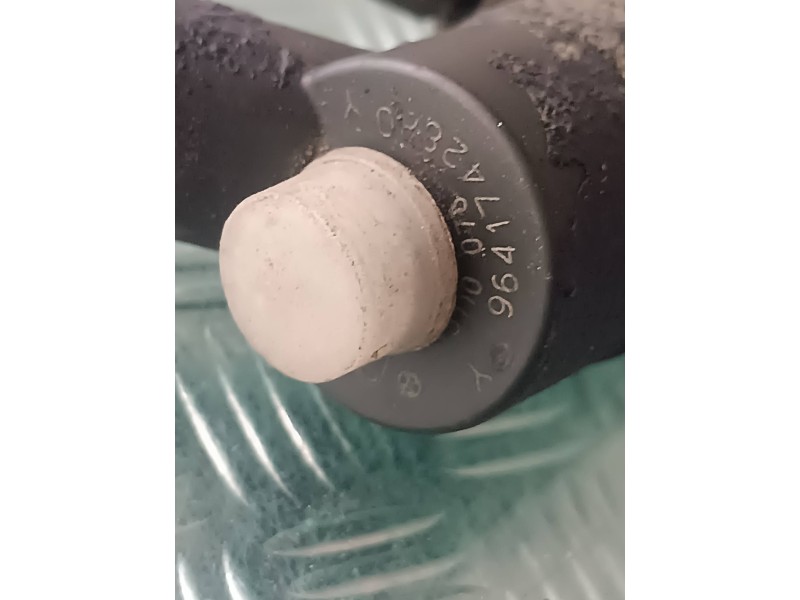 Recambio de inyector para peugeot 406 berlina (s1/s2) stdt referencia OEM IAM 9641742880 0445110076 BOSCH