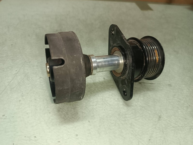 Recambio de polea alternador para ford focus berlina (cak) ambiente referencia OEM IAM   