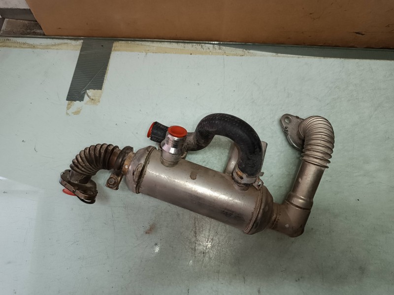 Recambio de enfriador egr para ford focus berlina (cap) 1.8 cat referencia OEM IAM 4M5Q9F464BC  