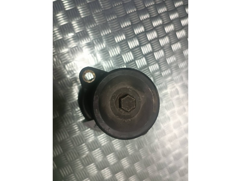 Recambio de polea alternador para ford focus berlina (cak) ambiente referencia OEM IAM TF10924  