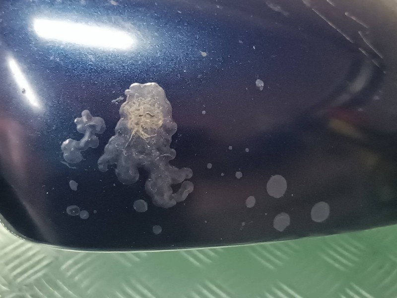 Recambio de retrovisor derecho para volkswagen golf v berlina (1k1) highline referencia OEM IAM 010880  ELECTRICO