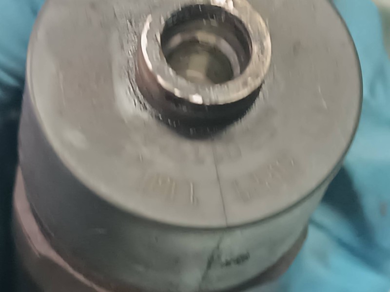 Recambio de inyector para citroen xsara picasso referencia OEM IAM 0445110239 CONECTOR 2 PINES BOSCH