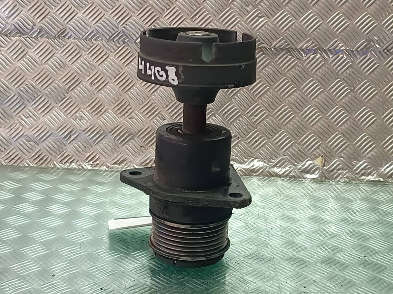 Recambio de polea alternador para ford ecosport (cr6) referencia OEM IAM   