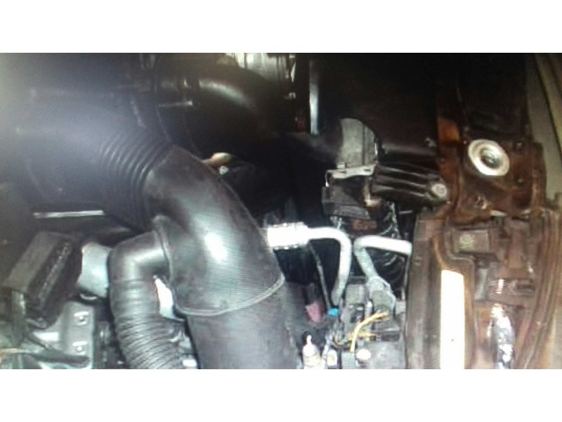 bmw serie 5 berlina (e39) del año 1999