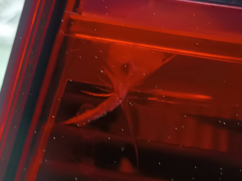 Recambio de piloto trasero derecho para citroen c5 berlina referencia OEM IAM 89036648 89034070 VALEO