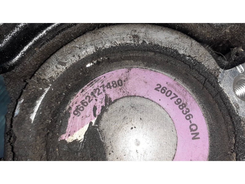 Recambio de bomba servodireccion para peugeot 206 berlina referencia OEM IAM 9637058480 26079884 26079836QN