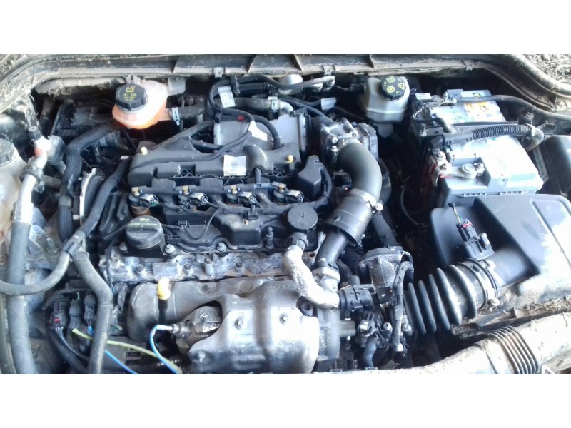 ford focus del año 2019