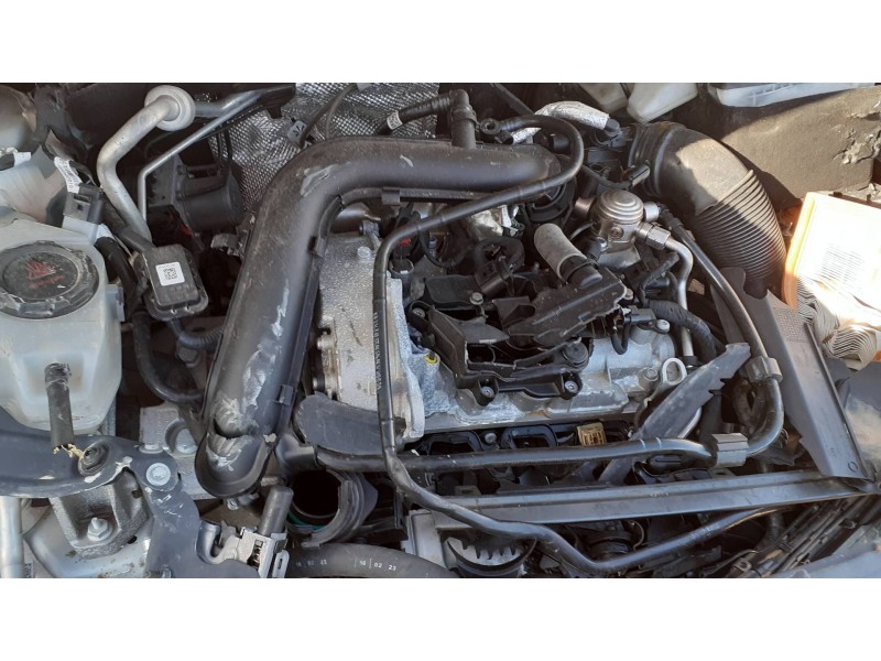 seat arona del año 2023