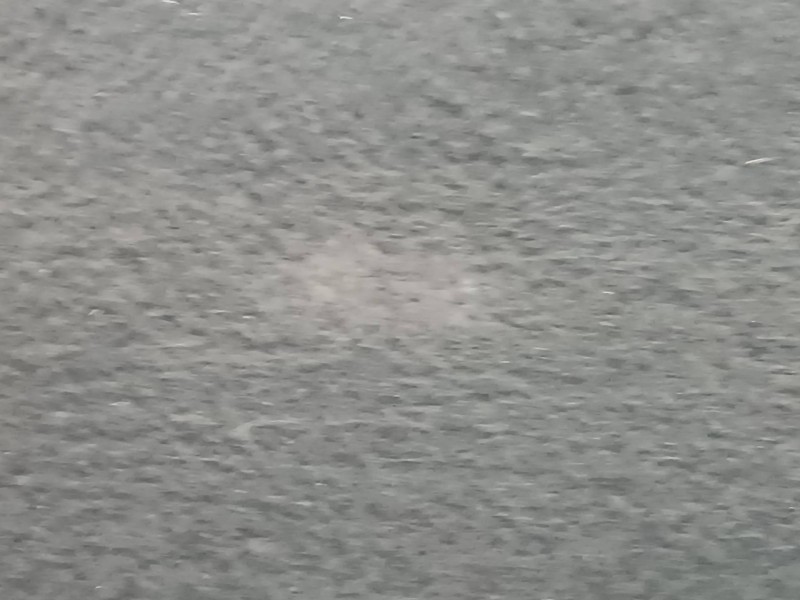 Recambio de bandeja trasera para ford focus lim. (cb8) referencia OEM IAM BM51A46506  