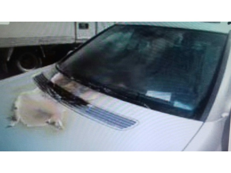 mercedes-benz clase c (w203) berlina del año 2006