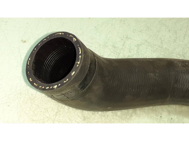 Recambio de tubo para ford focus lim. business referencia OEM IAM CV616C646AK D05WE 