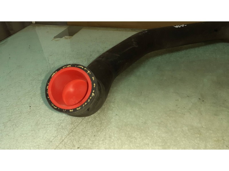 Recambio de tubo para ford focus lim. business referencia OEM IAM CV616C646AK D05WE 