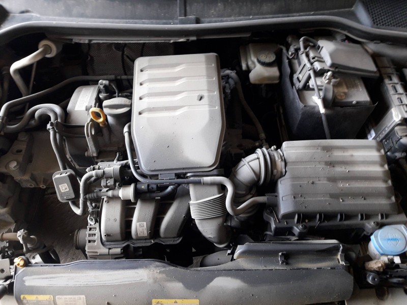 seat ibiza del año 2022