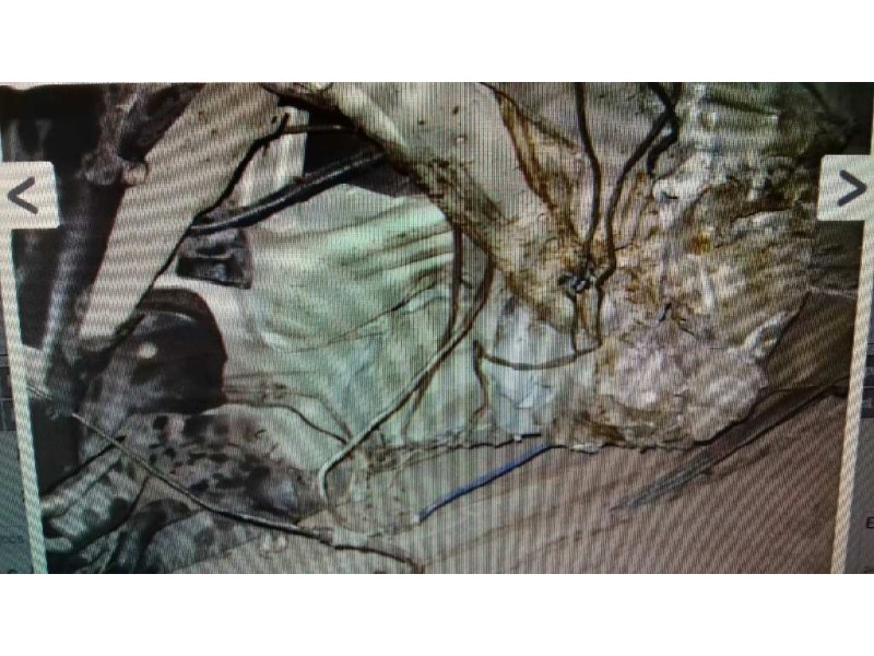 bmw x5 (e53) del año 2001