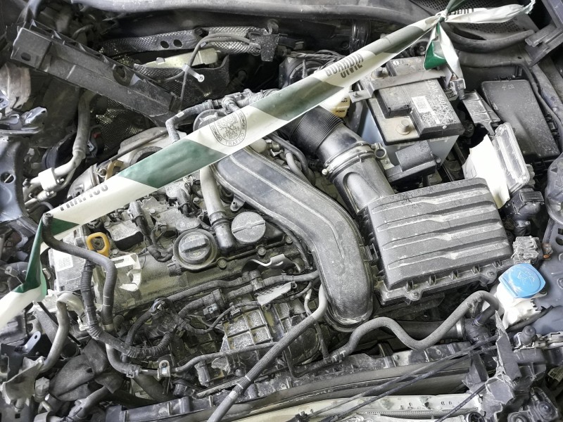 cupra leon (kl1) del año 2024