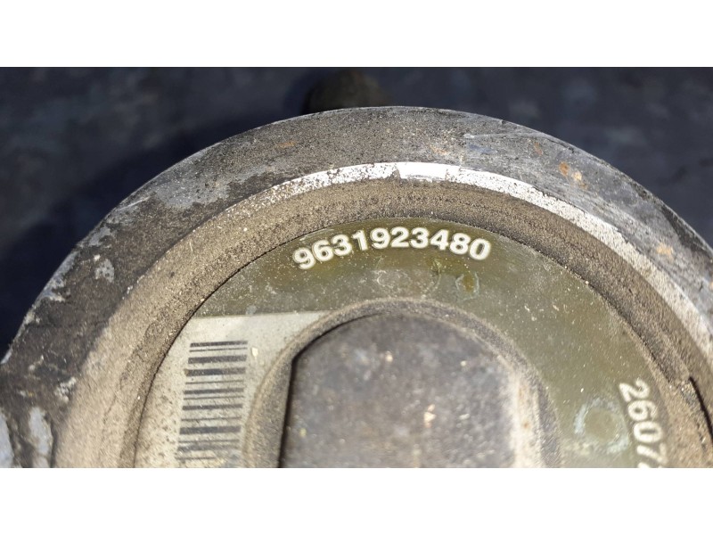 Recambio de bomba direccion para citroen xsara berlina referencia OEM IAM 9631923480 26072537 