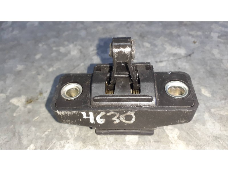 Recambio de maneta exterior maletero / porton para dacia sandero referencia OEM IAM   