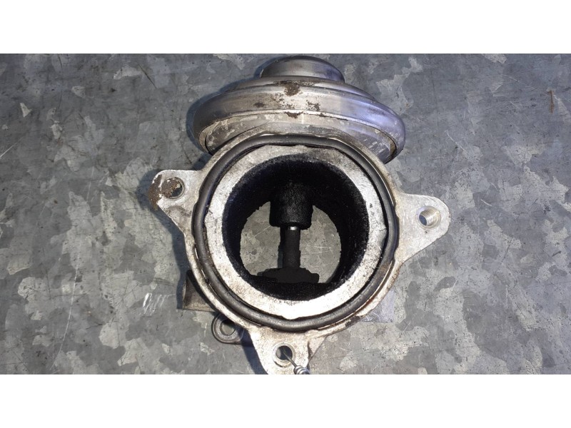 Recambio de valvula egr para seat ibiza (6l1) referencia OEM IAM 045131501F 291518363 
