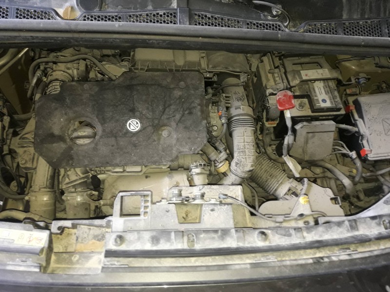 peugeot rifter del año 2022