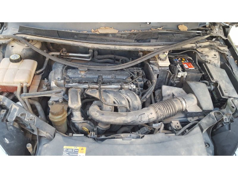 ford focus berlina (cap) del año 2005