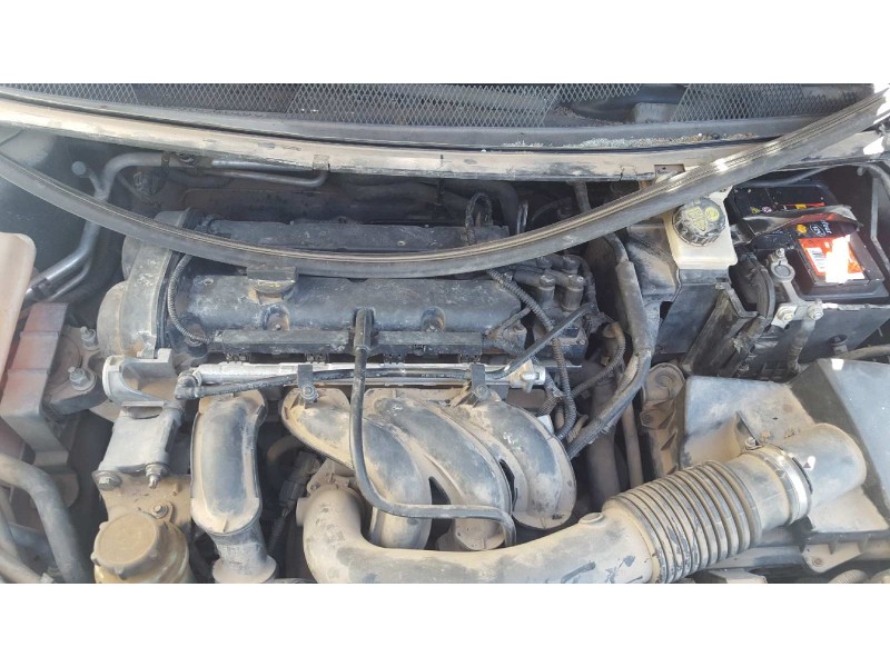 ford focus berlina (cap) del año 2005