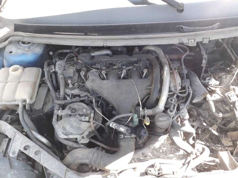 ford focus berlina (cap) del año 2005