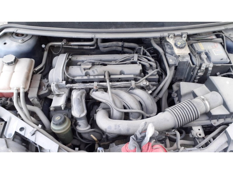 ford focus berlina (cap) del año 2005