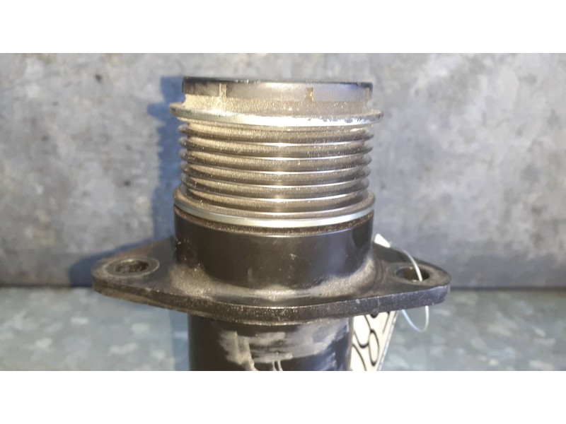 Recambio de polea alternador para ford c-max (cb3) referencia OEM IAM 6203DG1  