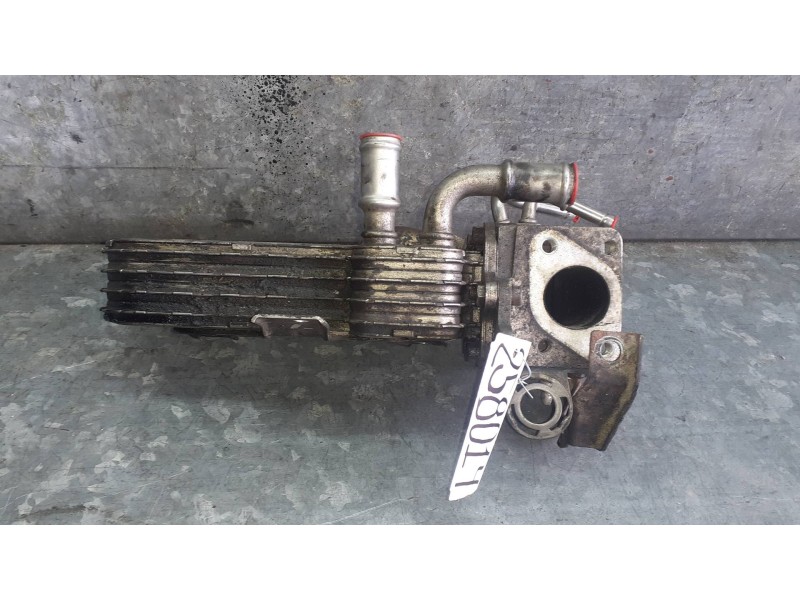 Recambio de enfriador egr para volkswagen golf v berlina (1k1) referencia OEM IAM 038131513AD 3210275 MODINE