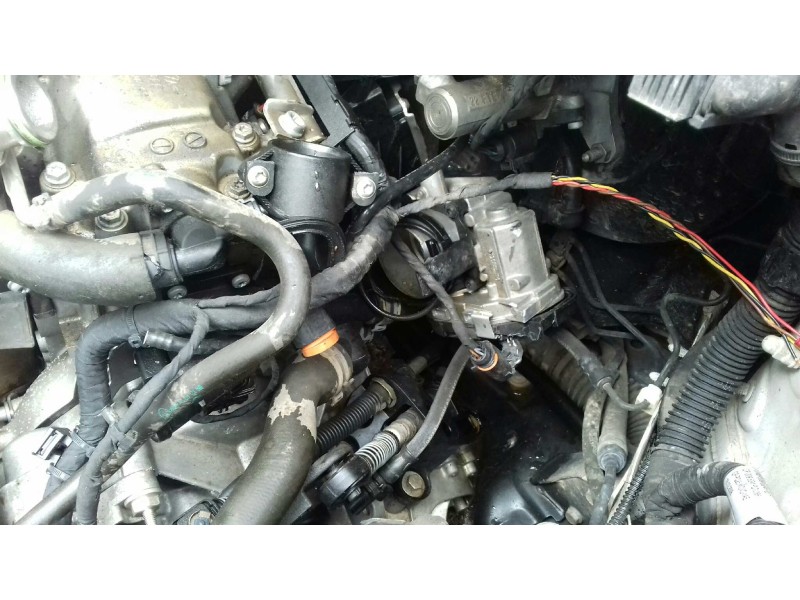 volkswagen polo (6r1) del año 2013