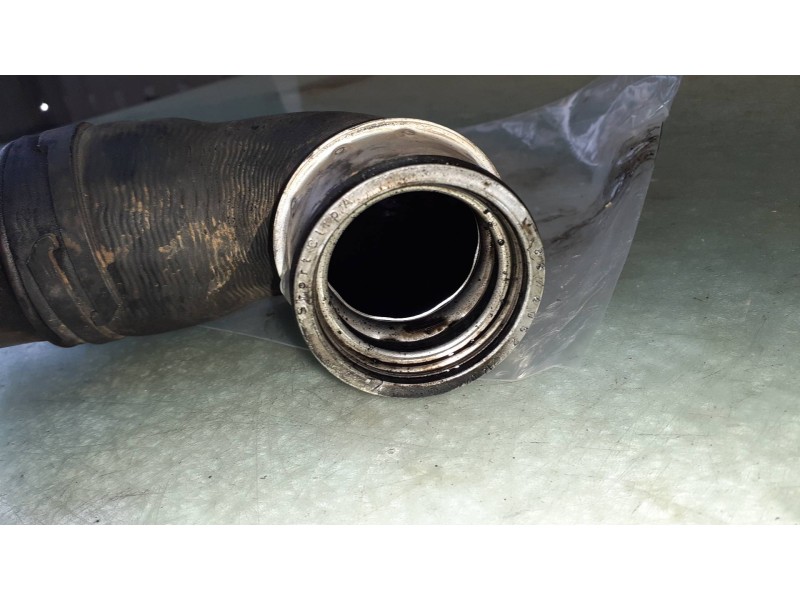 Recambio de tubo para audi a3 (8p) 1.9 tdi e limited edition referencia OEM IAM 038131111A  ADMISION TURBO