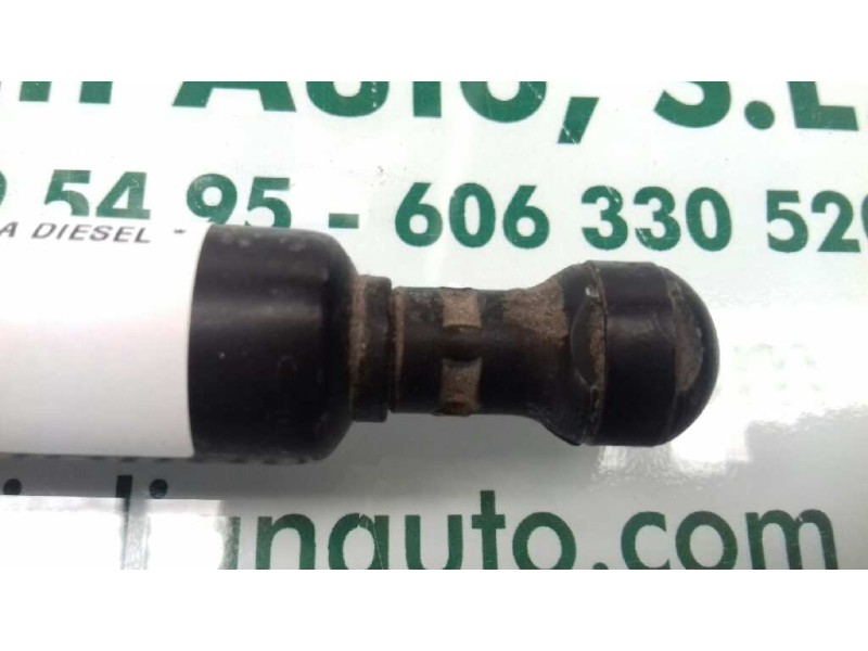 Recambio de amortiguadores capo para mercedes-benz clase e (w210) berlina diesel referencia OEM IAM A2108800429  