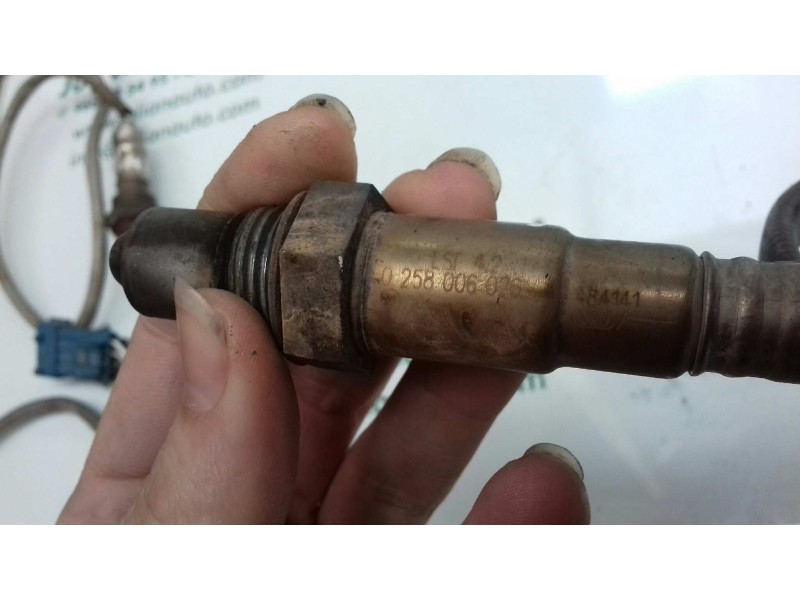 Recambio de sonda lambda para peugeot 407 st confort pack referencia OEM IAM 0258006026 484141 BOSCH