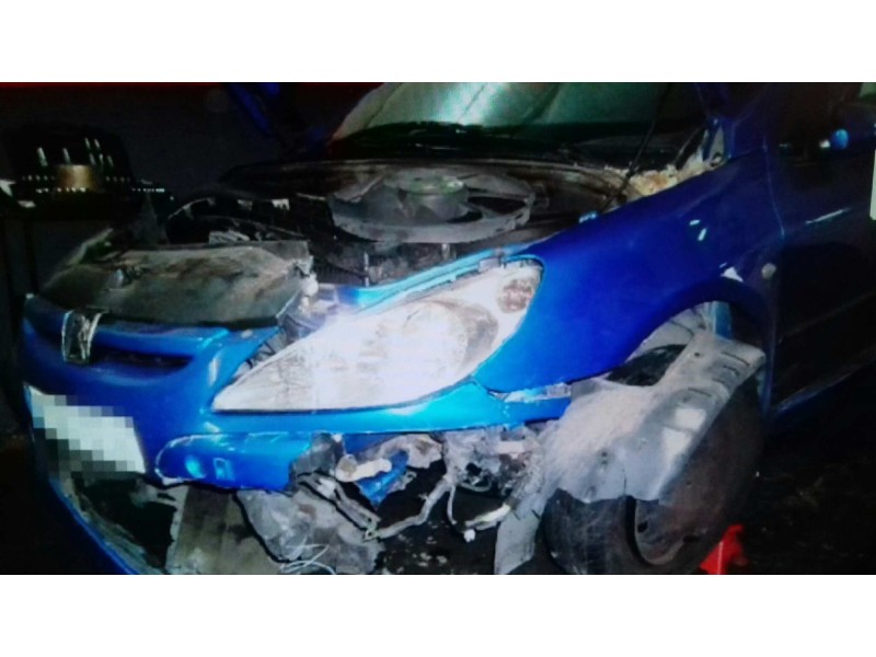 peugeot 307 break / sw (s1) del año 2002