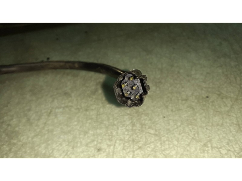 Recambio de retrovisor derecho para ford focus berlina (cak) ambiente referencia OEM IAM 46R015694  ELECTRICO