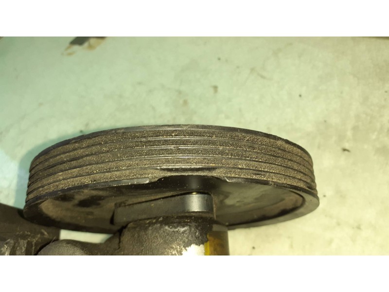 Recambio de bomba direccion para bmw serie 5 berlina (e39) 530d referencia OEM IAM 7691974518 1095749 91208