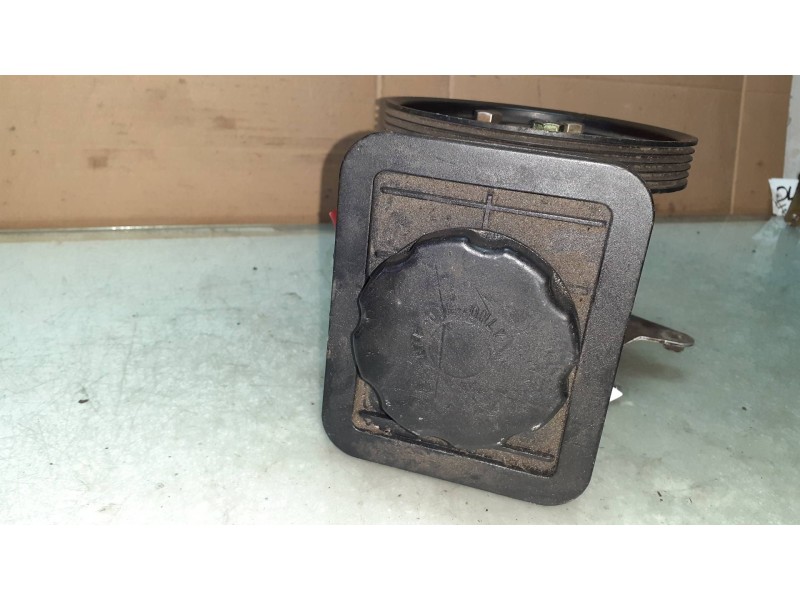 Recambio de bomba direccion para bmw serie 5 berlina (e39) 530d referencia OEM IAM 7691974518 1095749 91208