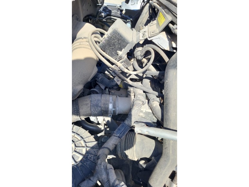 fiat ducato furgón ta 33 (290) del año 2017