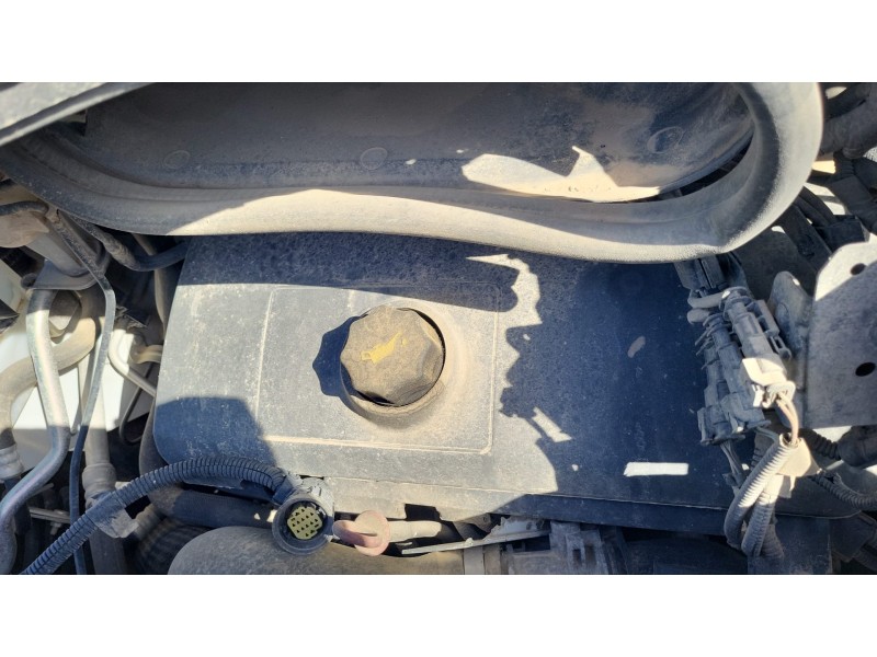 fiat ducato furgón ta 33 (290) del año 2017